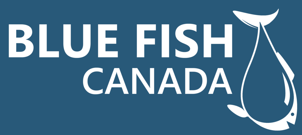 Blue Fish Canada logo with stylized fish